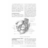 Manipulaciones urogenitales - Imagen 11